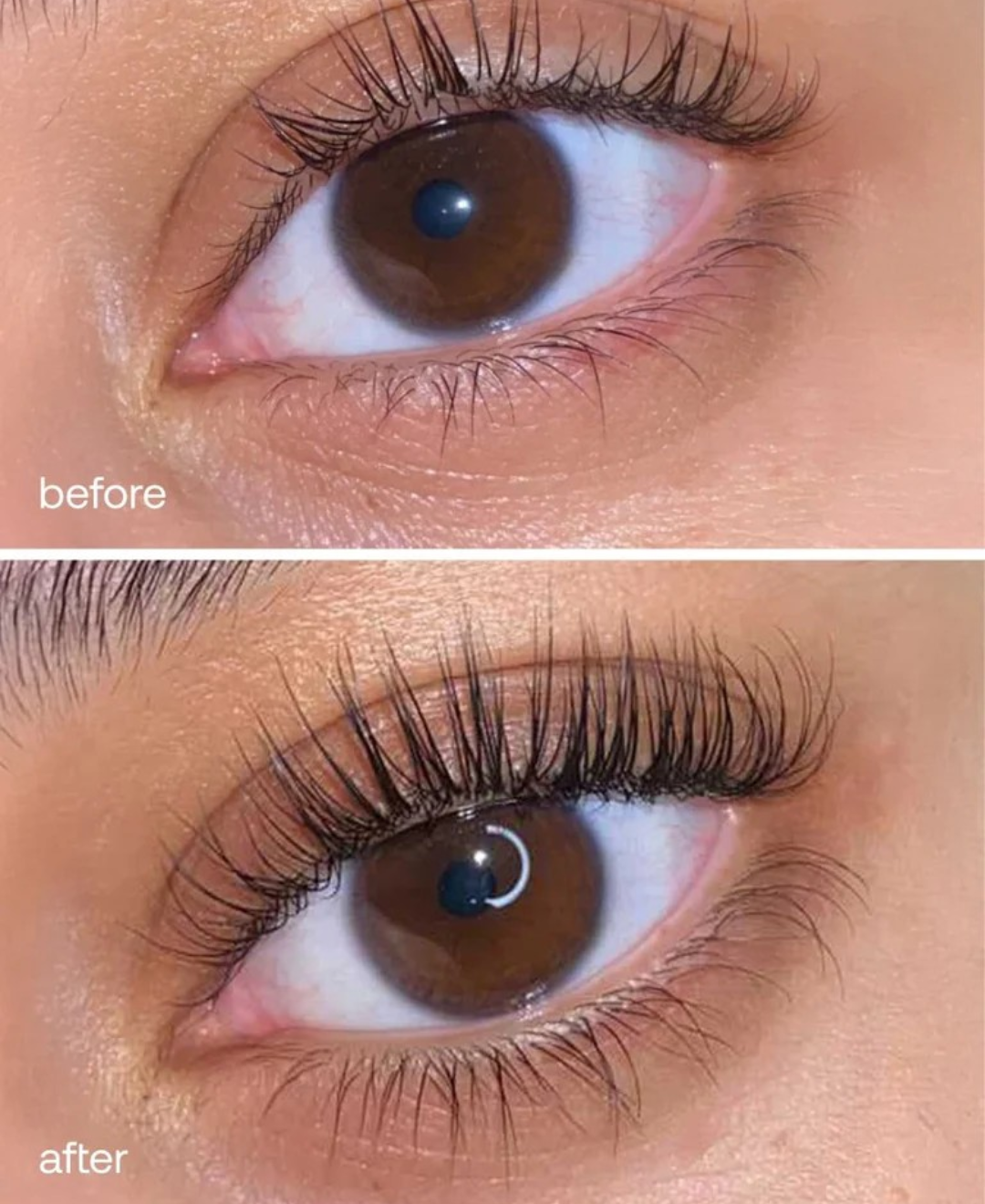 Eyelash Growth Serum