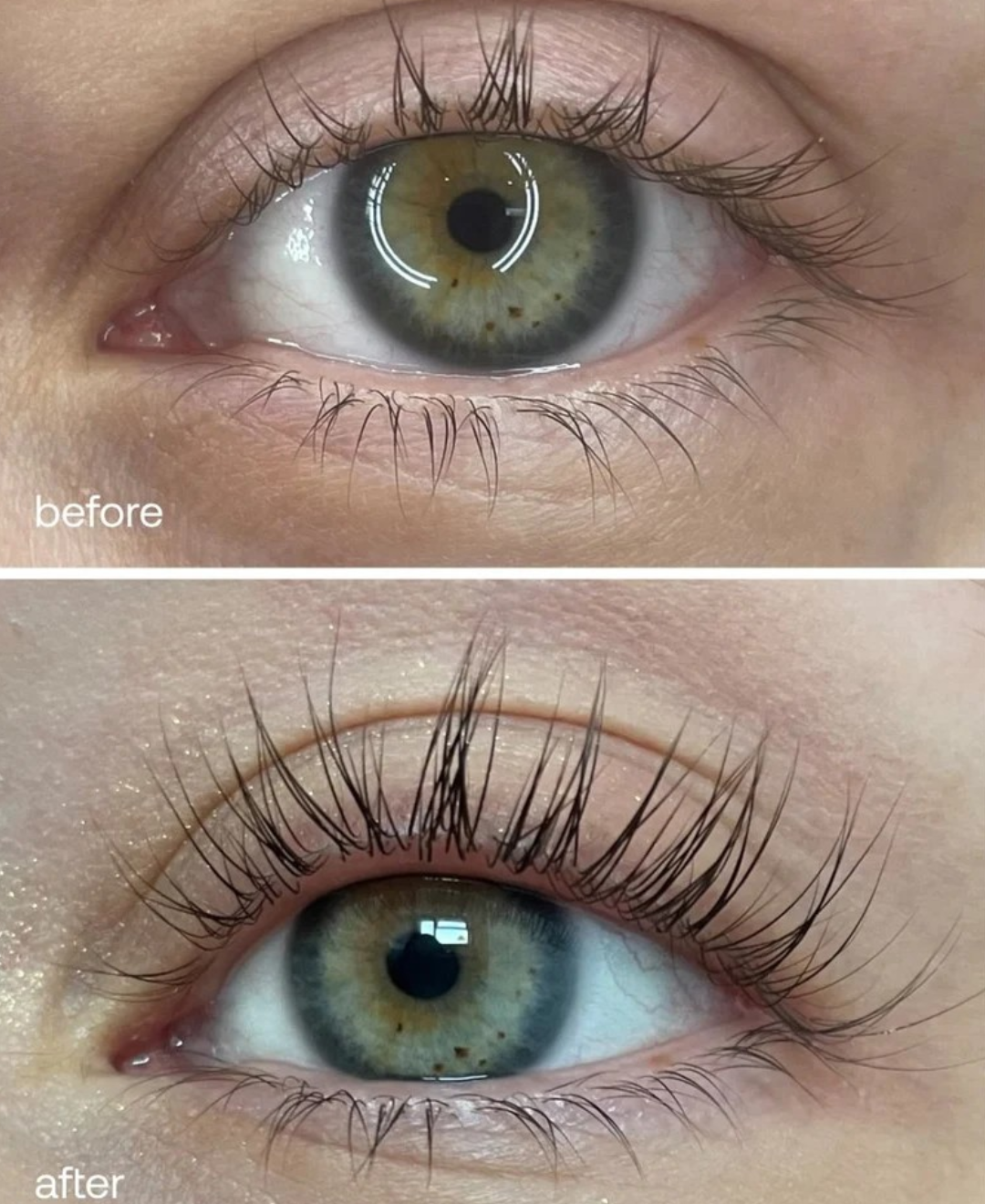 Eyelash Growth Serum